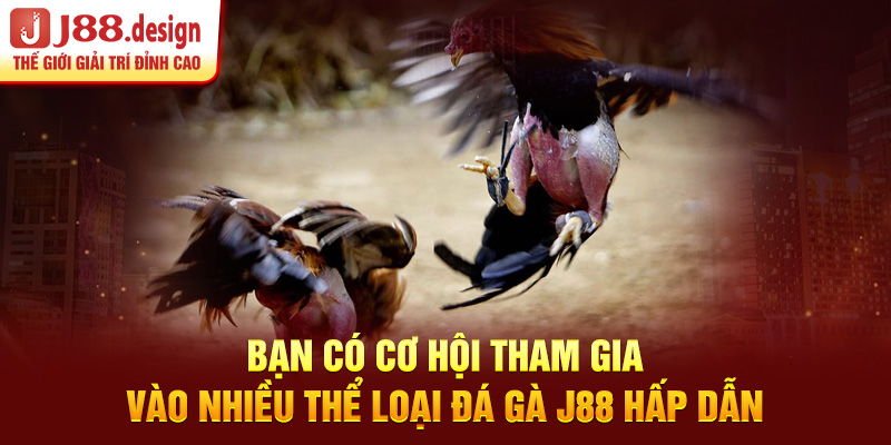 ban-co-co-hoi-tham-gia-vao-nhieu-the-loai-da-ga-j88-hap-dan